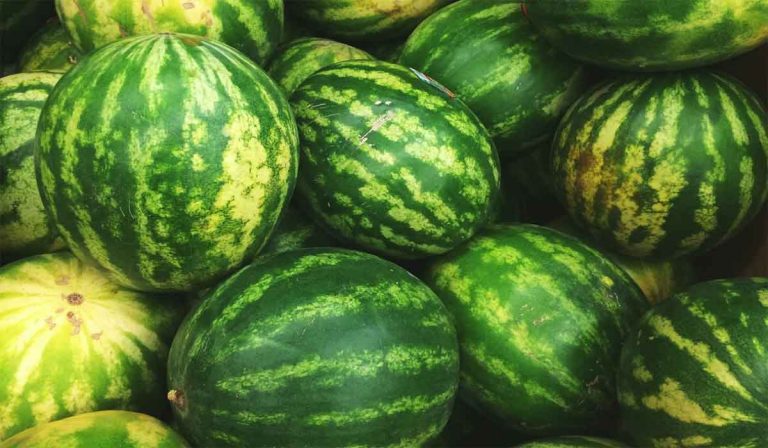 أفضل 9 فوائد البطيخ للحامل