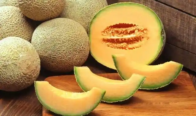 الشمام للحامل