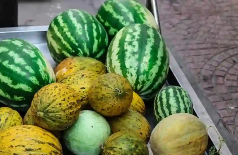 فوائد البطيخ الاصفر للحامل