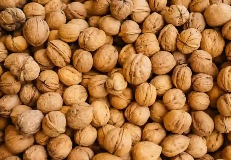 فوائد عين الجمل للحامل