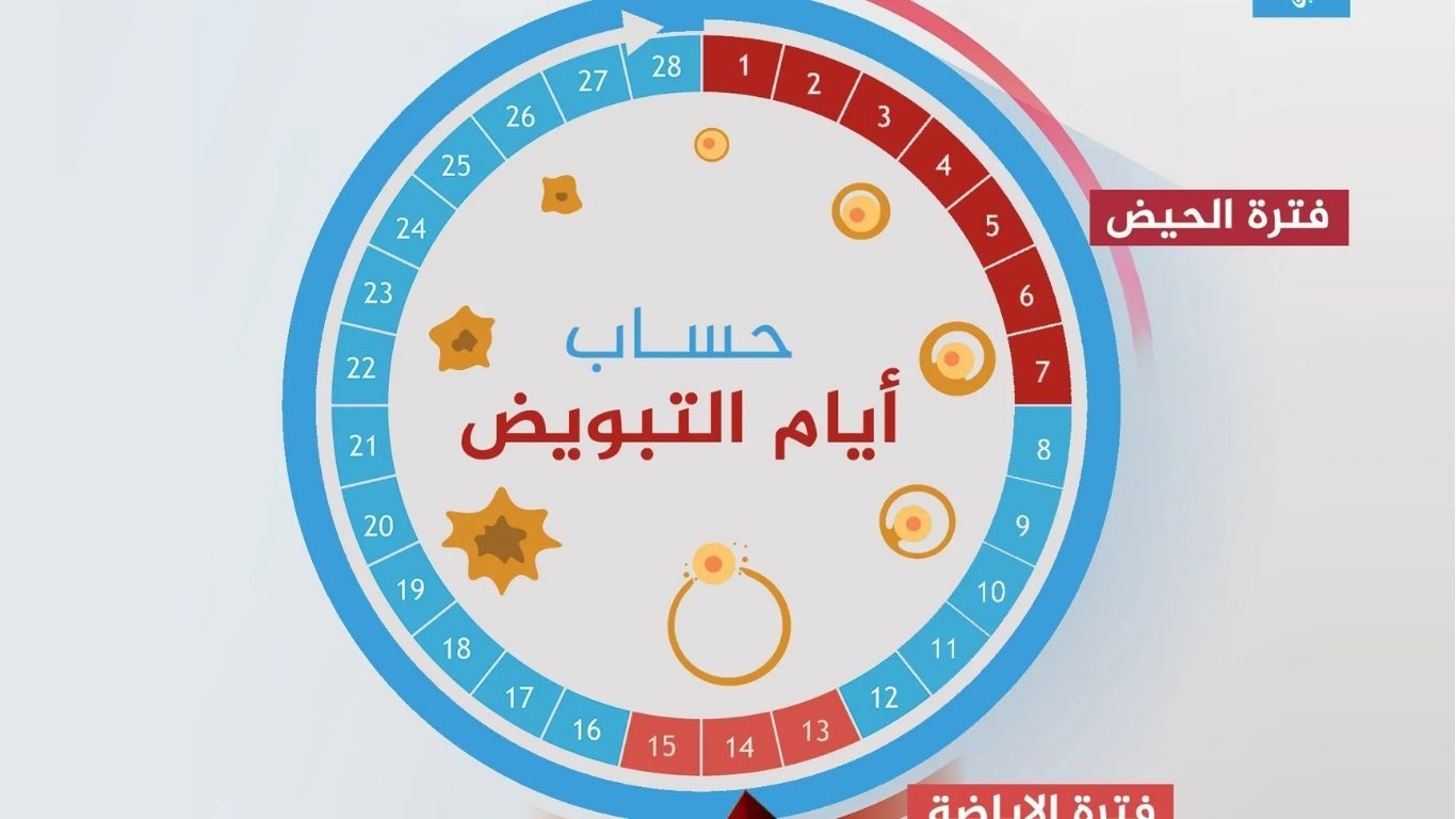 ما هي إمكانية حدوث حمل اذا تم الجماع قبل الدورة باسبوع ؟