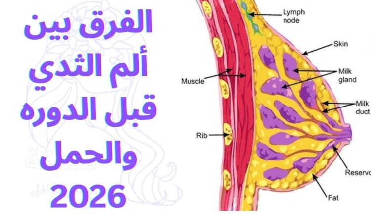 الفرق بين ألم الثدي قبل الدوره والحمل 2026