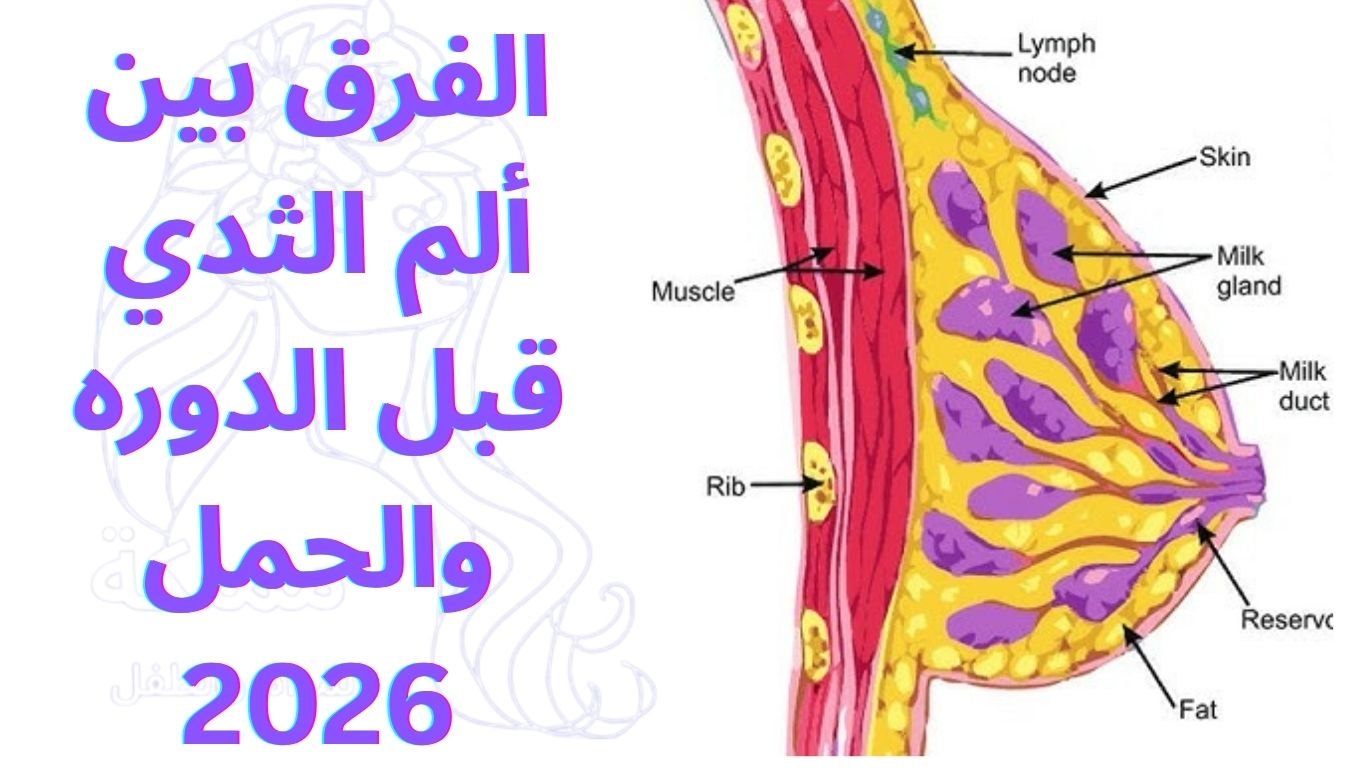 الفرق بين ألم الثدي قبل الدوره والحمل 2026