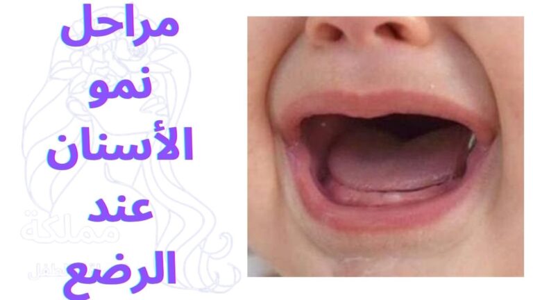مراحل نمو الأسنان عند الرضع