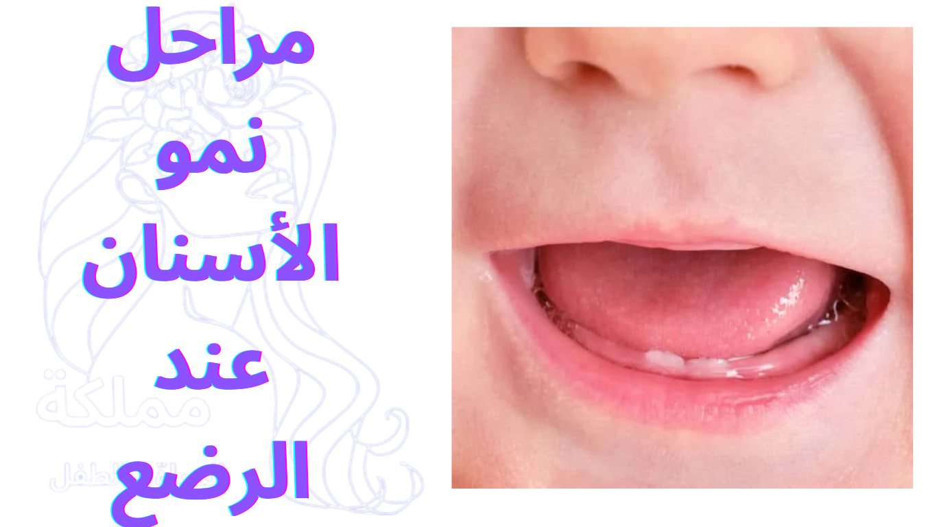 مراحل نمو الأسنان عند الرضع