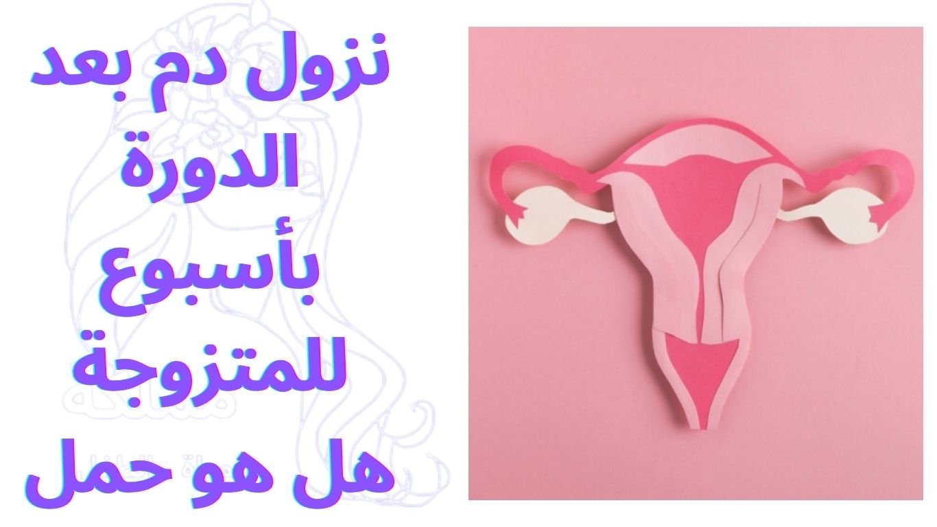 نزول دم بعد الدورة بأسبوع للمتزوجة هل هو حمل