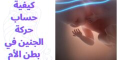 كيفية حساب حركة الجنين في بطن الأم