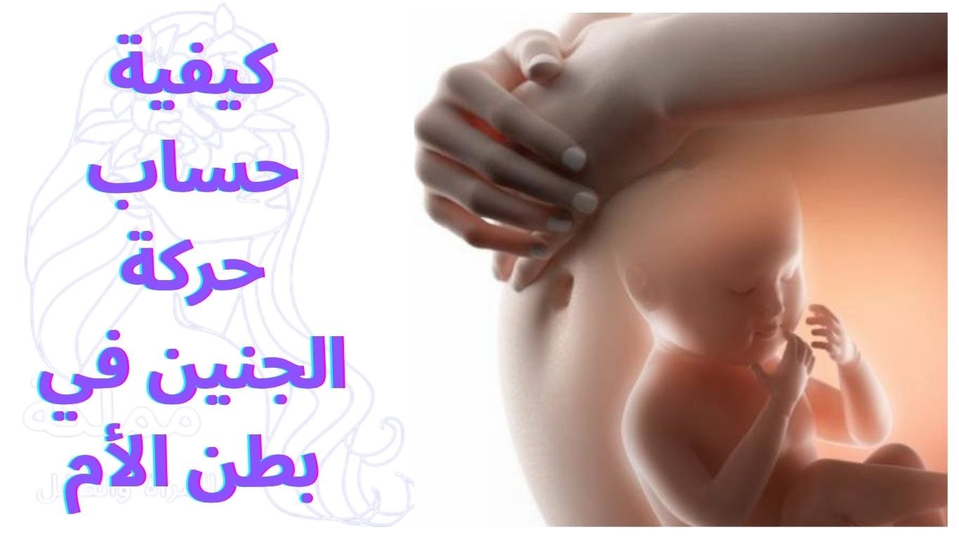 كيفية حساب حركة الجنين في بطن الأم