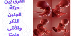 الفرق بين حركة الجنين الذكر والأنثى علميًا