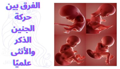 الفرق بين حركة الجنين الذكر والأنثى علميًا الفرق بين حركة الجنين الذكر والأنثى علميًا