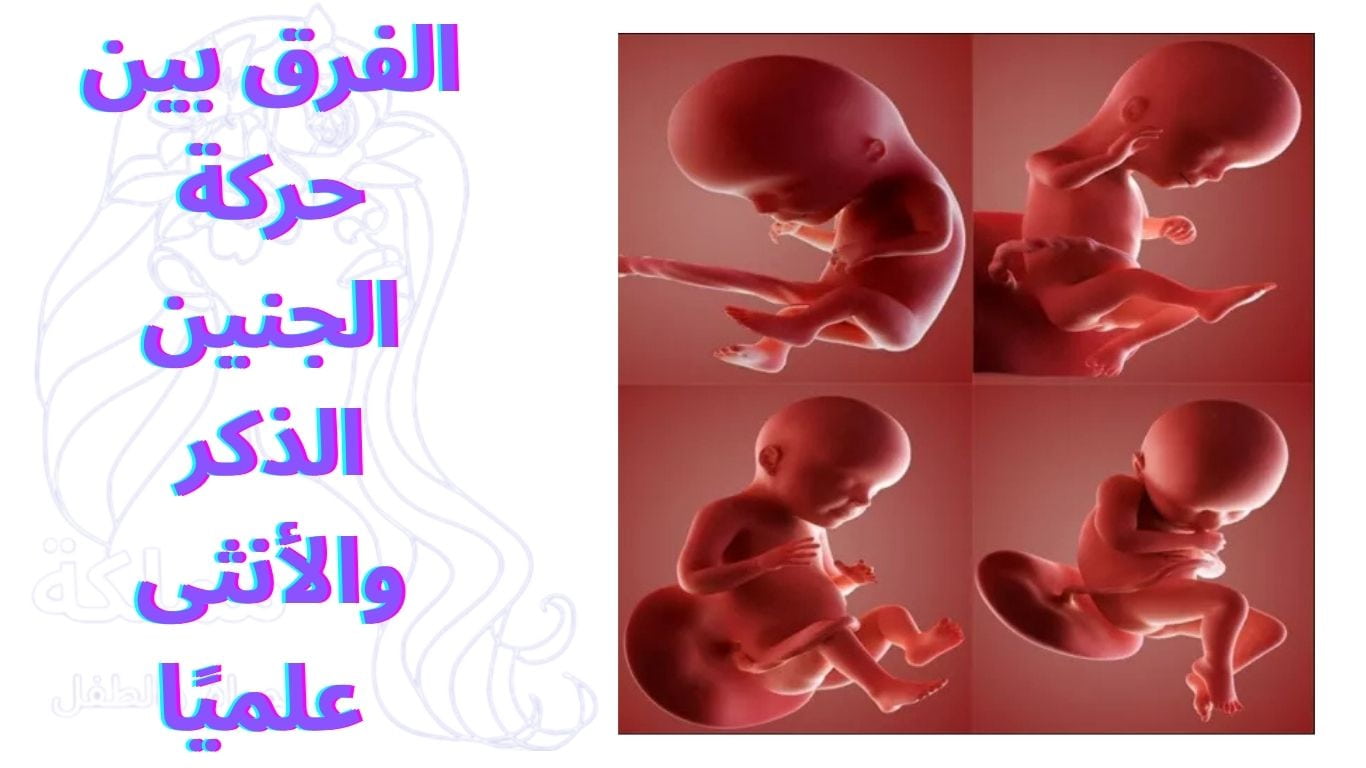 الفرق بين حركة الجنين الذكر والأنثى علميًا 