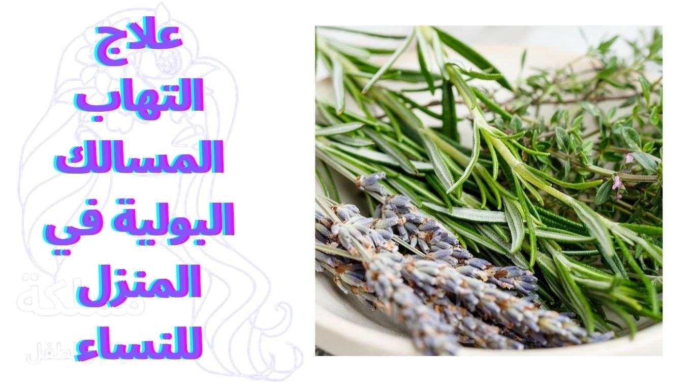 علاج التهاب المسالك البولية في المنزل للنساء