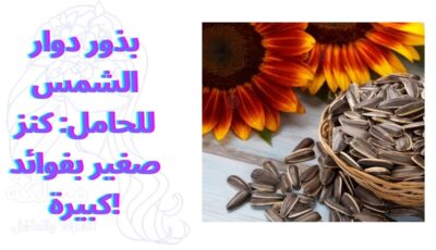 بذور دوار الشمس للحامل: كنز صغير بفوائد كبيرة!