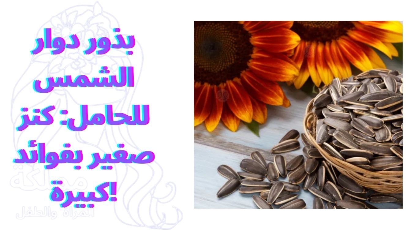 بذور دوار الشمس للحامل: كنز صغير بفوائد كبيرة!