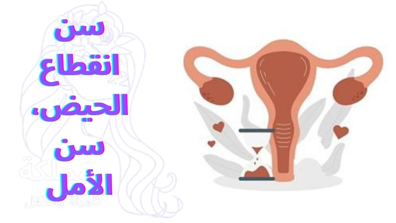 سن انقطاع الحيض، سن الأمل
