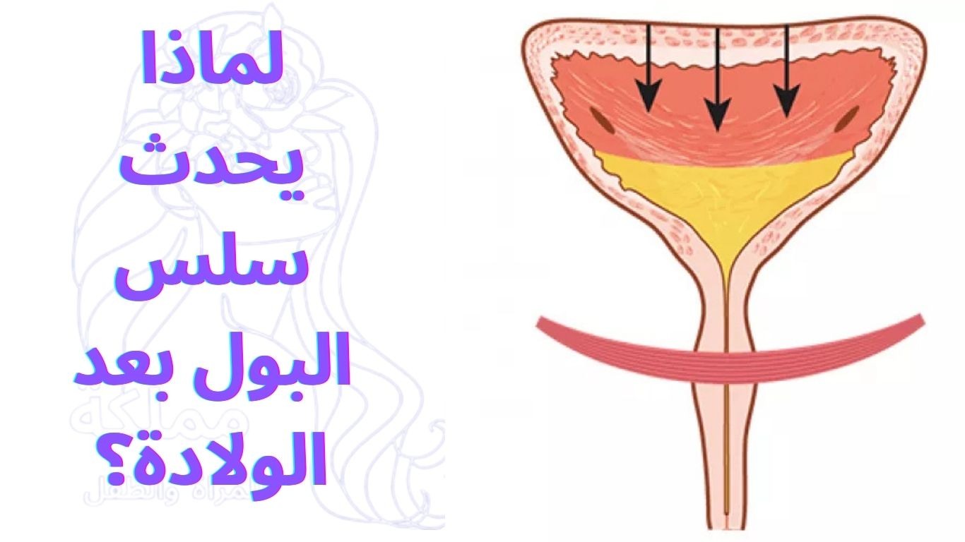 لماذا يحدث سلس البول بعد الولادة؟